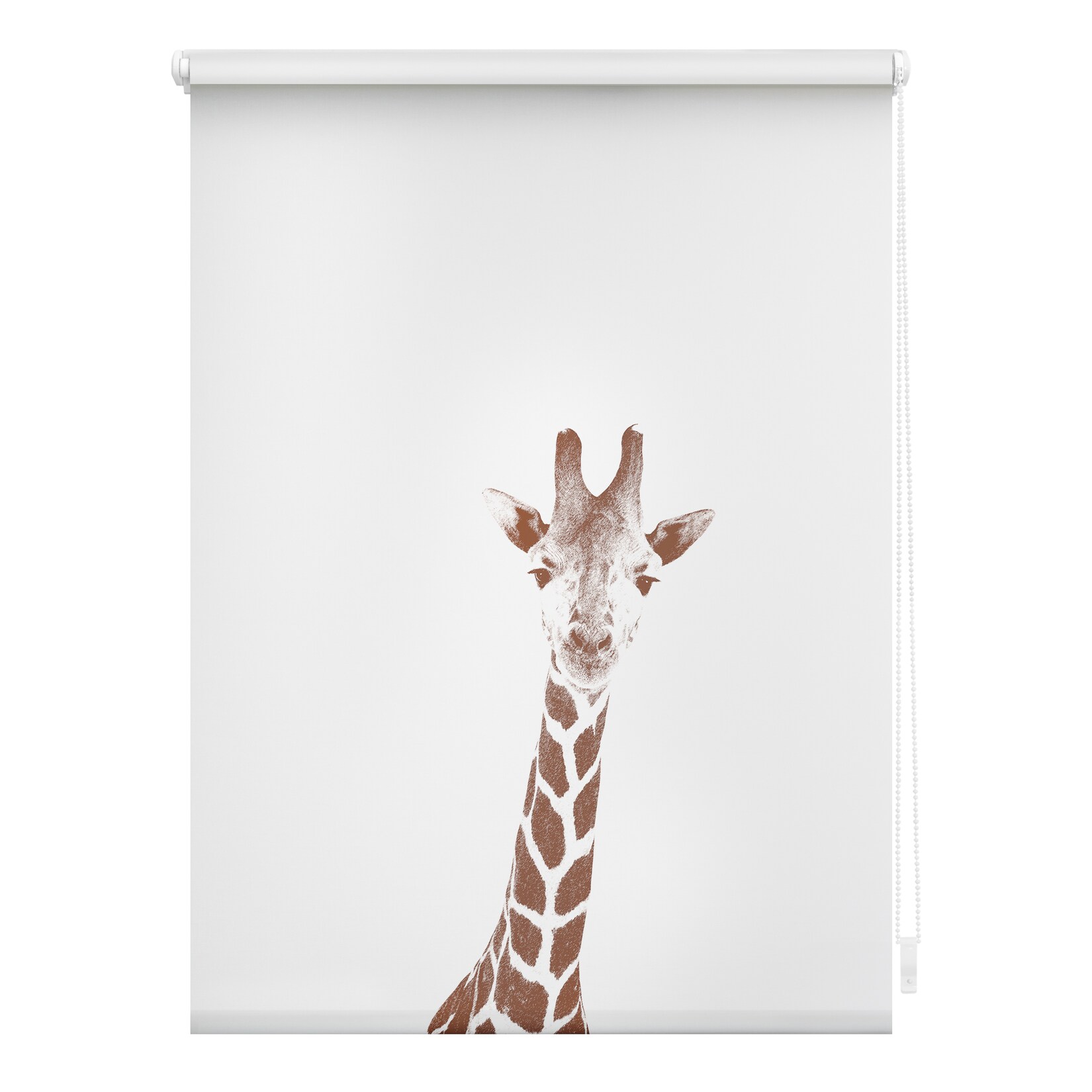 Lichtblick Rollo Klemmfix, ohne Bohren, blickdicht, Giraffe - Braun