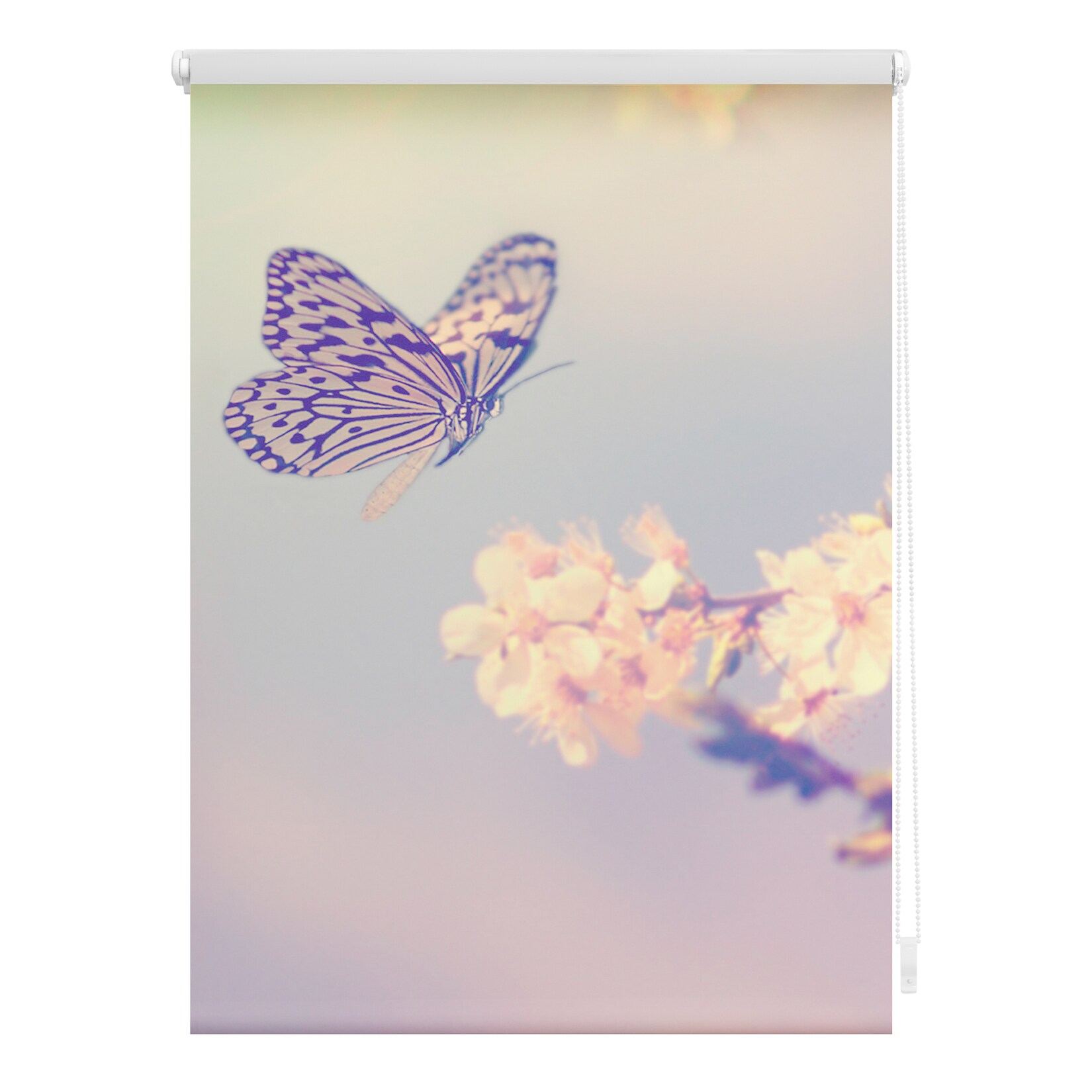 Lichtblick Rollo Klemmfix, ohne Bohren, blickdicht, Schmetterling - Rosa