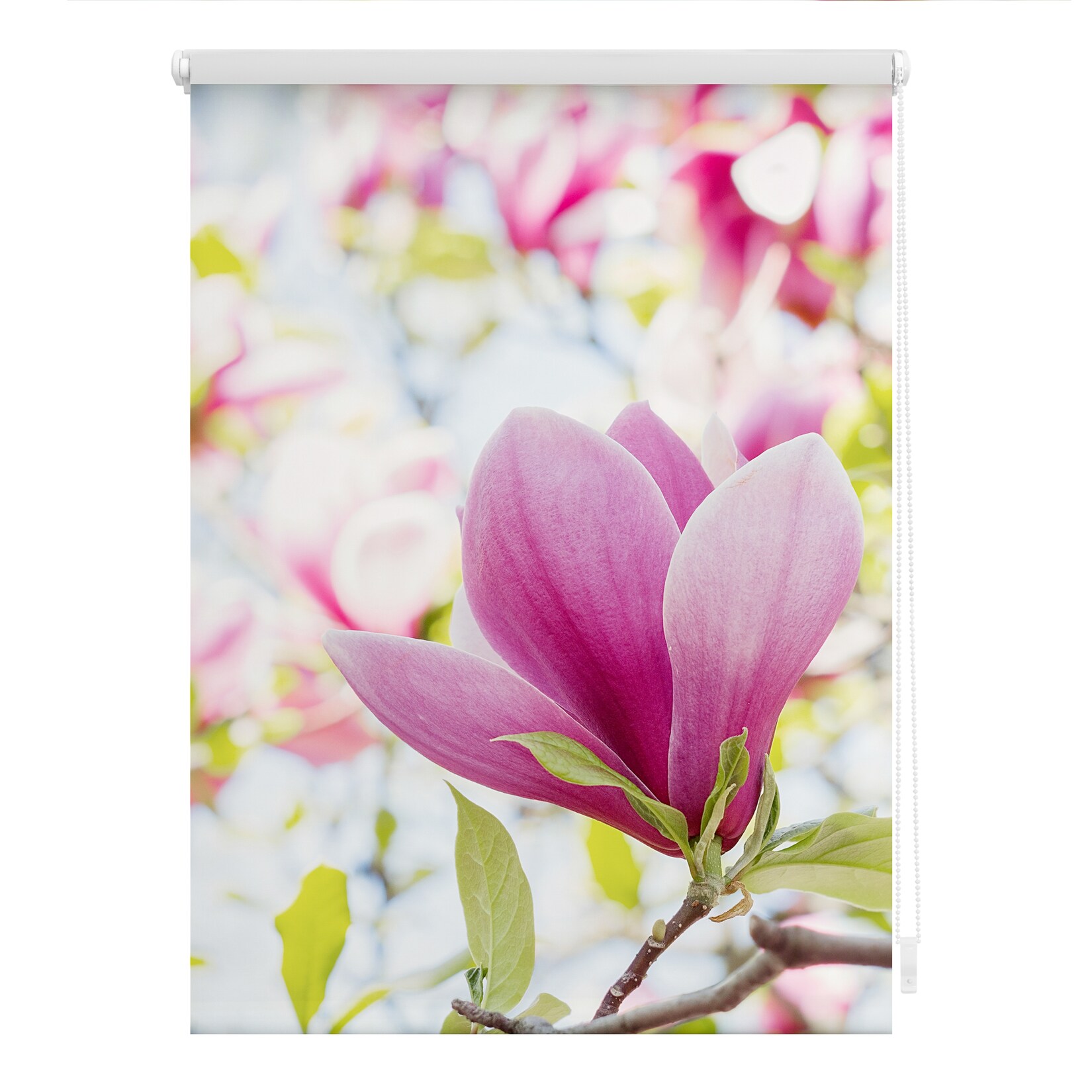 Lichtblick Rollo Klemmfix, ohne Bohren, blickdicht, Magnolie - Rosa
