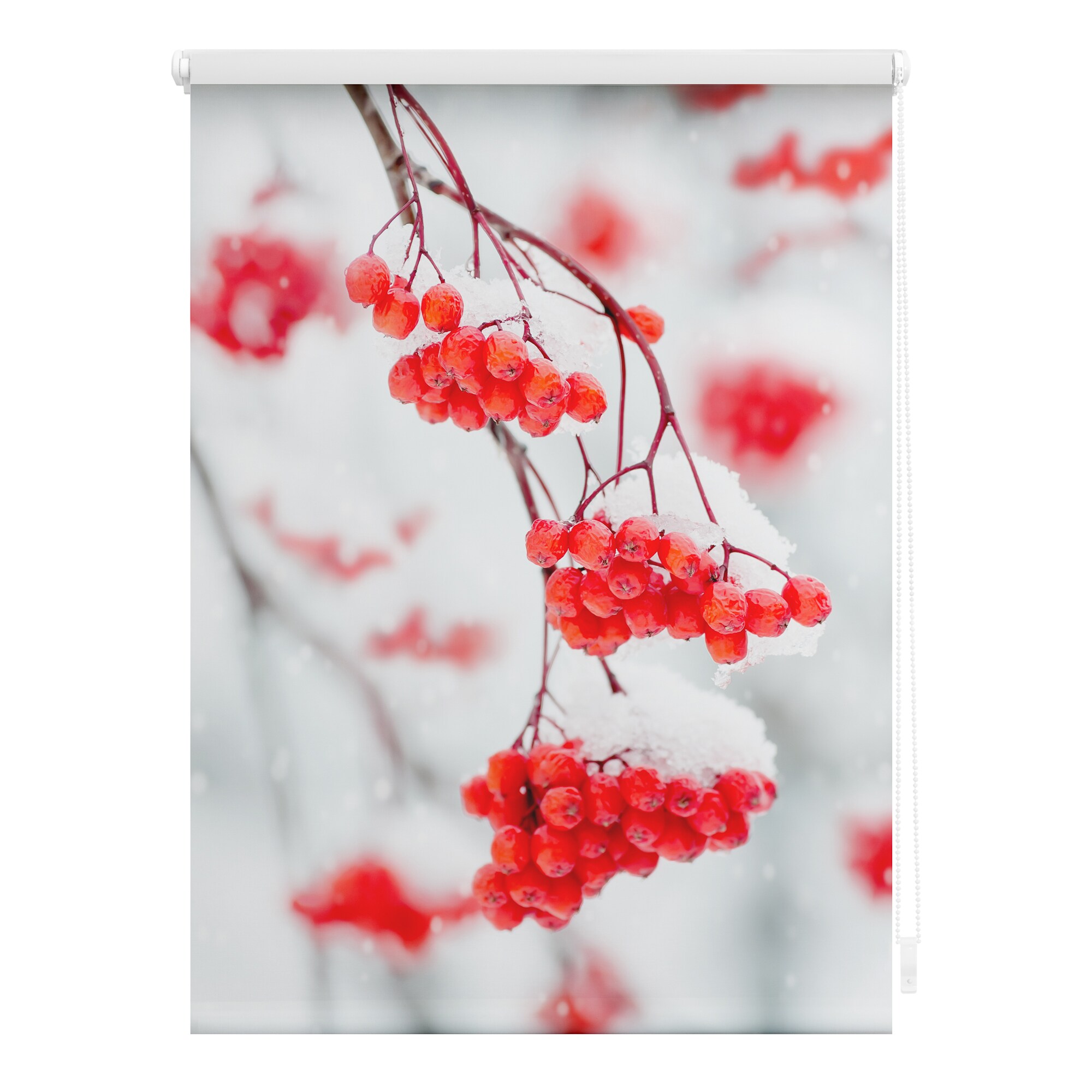 Lichtblick Rollo Klemmfix, ohne Bohren, blickdicht, Vogelbeeren - Rot Wei&szlig; - Bild 1