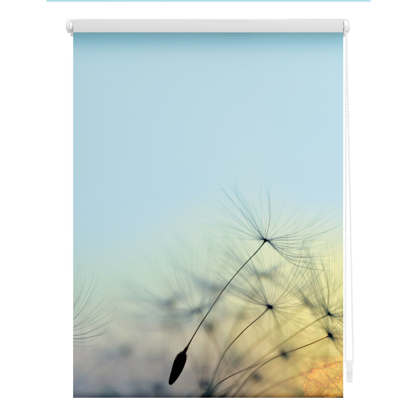 Lichtblick Rollo Klemmfix, ohne Bohren, blickdicht, Pusteblume - Blau