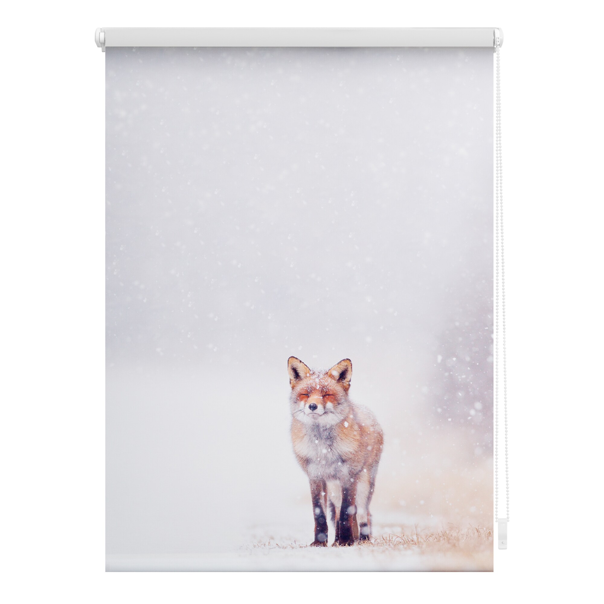 Lichtblick Rollo Klemmfix, ohne Bohren, blickdicht, Fuchs im Schnee - Wei&szlig; Rot - Bild 1