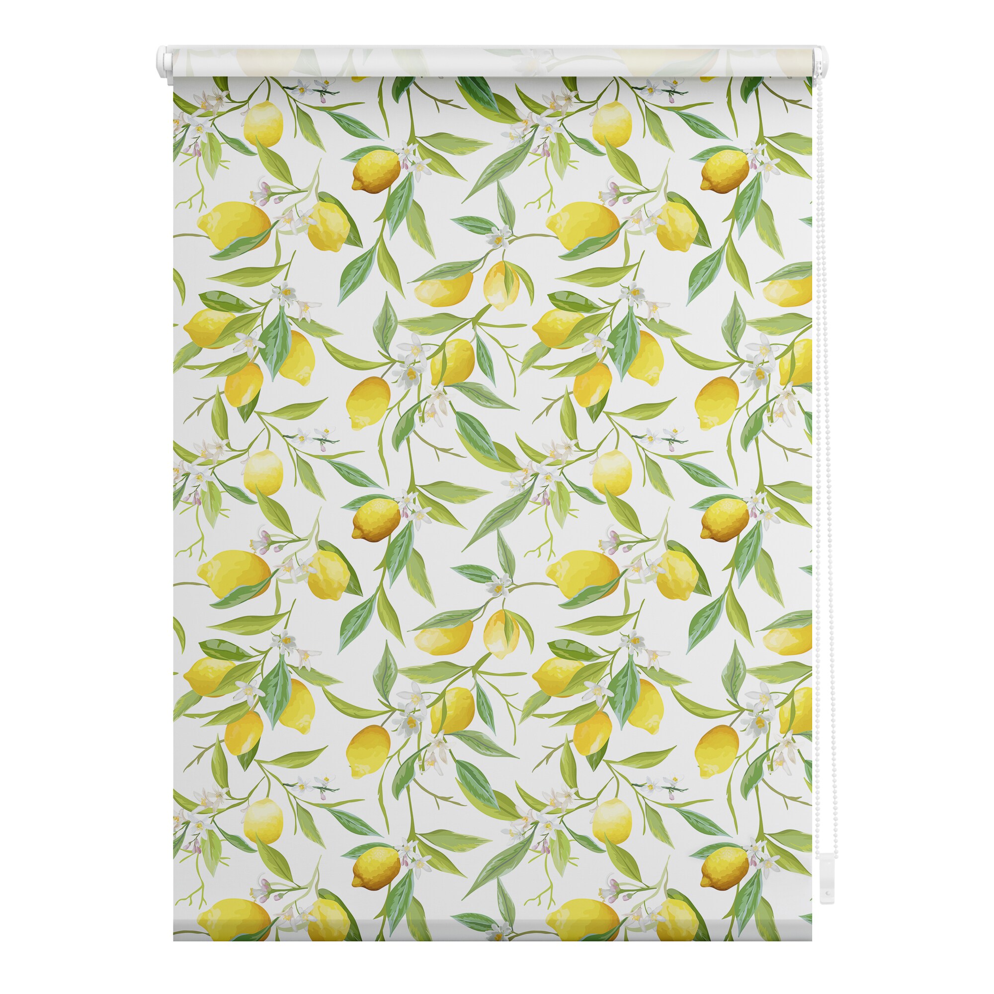 Lichtblick Rollo Klemmfix, ohne Bohren, Verdunkelung, Limone - Gelb Gr&uuml;n - Bild 1