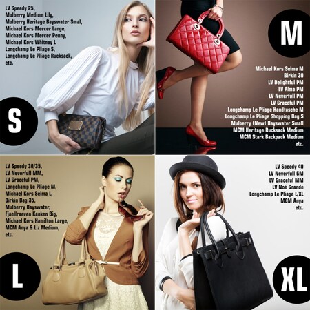 NEPAK Handtaschen Organizer, Filz Taschenorganizer für Frauen  Handtasche,Abnehmbare Reißverschluss-Tasche(Beige,M) : : Fashion