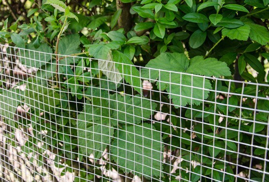 100 Stück Edelstahl-Kabelbinder – 4,6 X 300 Mm, Selbstsichernd, Bis 90 Kg Belastung, Für Zäune & Mehr
