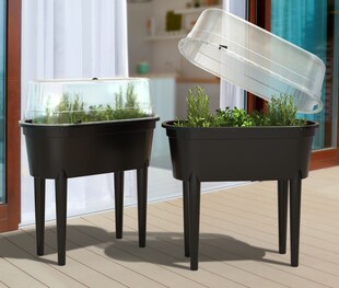 2x Hochbeet + Deckel 77cm Balkon Kasten Beet Kräuter Pflanzkasten Gewächshaus - Bild 1