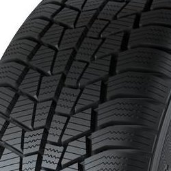 Gislaved Euro*Frost 6 225/55 R16 99H XL EVc - Bild 1