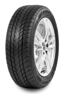 Davanti Wintoura 205/55 R16 91H - Bild 1