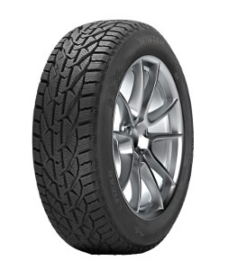 Riken Snow 205/50 R17 93V XL - Bild 1