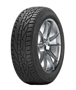 Riken Snow 225/55 R17 101H XL - Bild 1