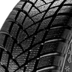 GT Radial WinterPro2 175/65 R15 84T - Bild 1