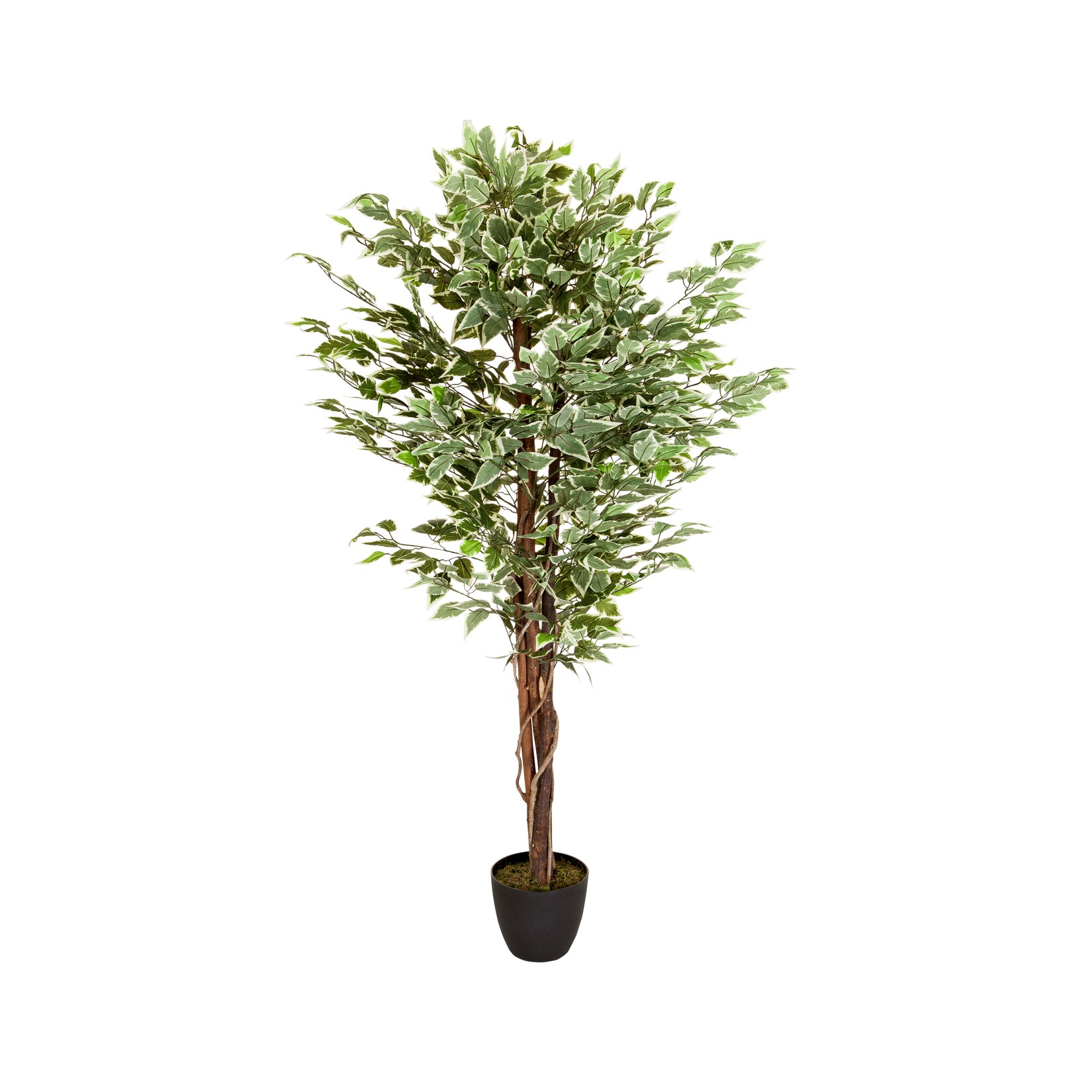 hjh OFFICE Kunstpflanze FICUS Kunststoff, Stoff