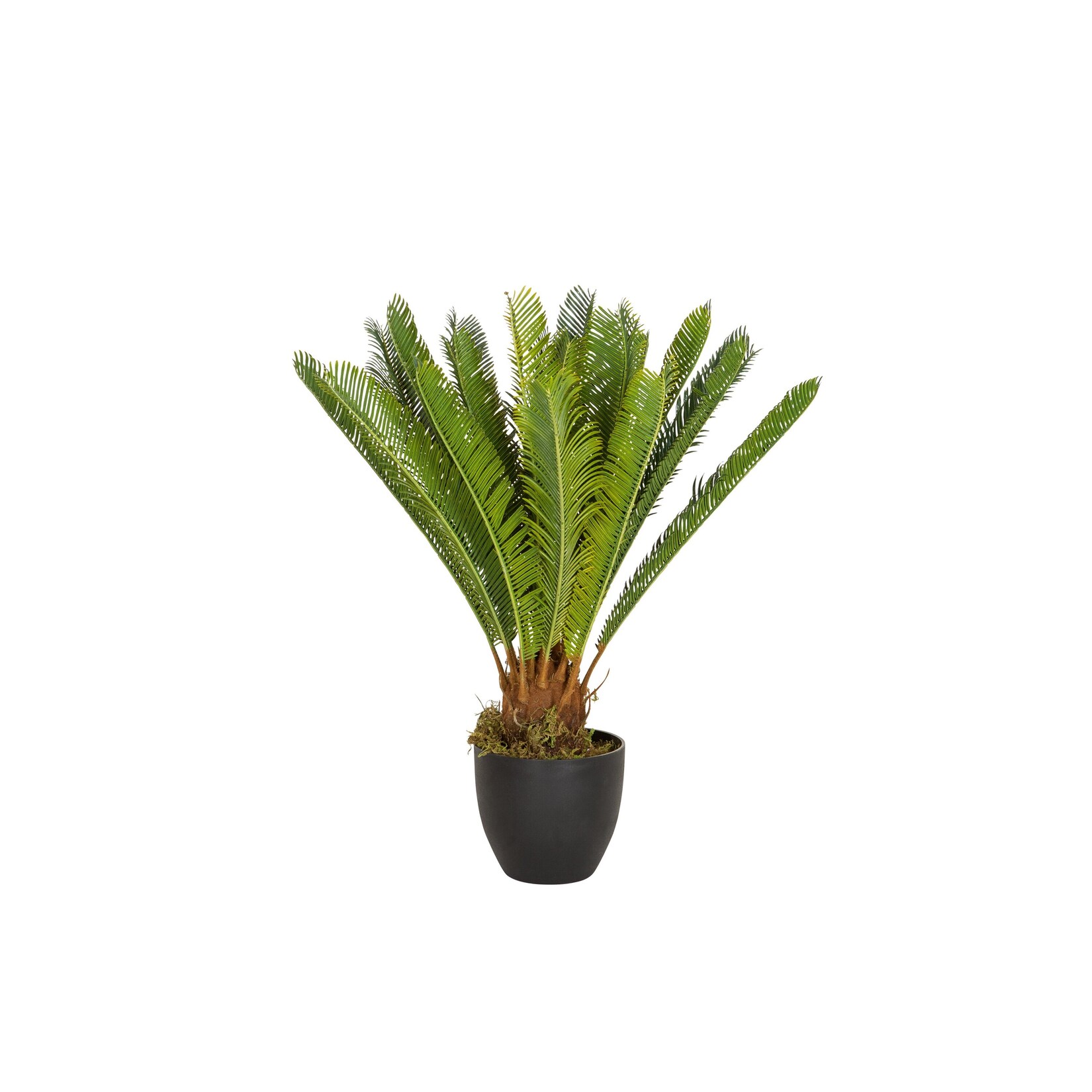 hjh OFFICE Kunstpflanze CYCAS Kunststoff, Stoff