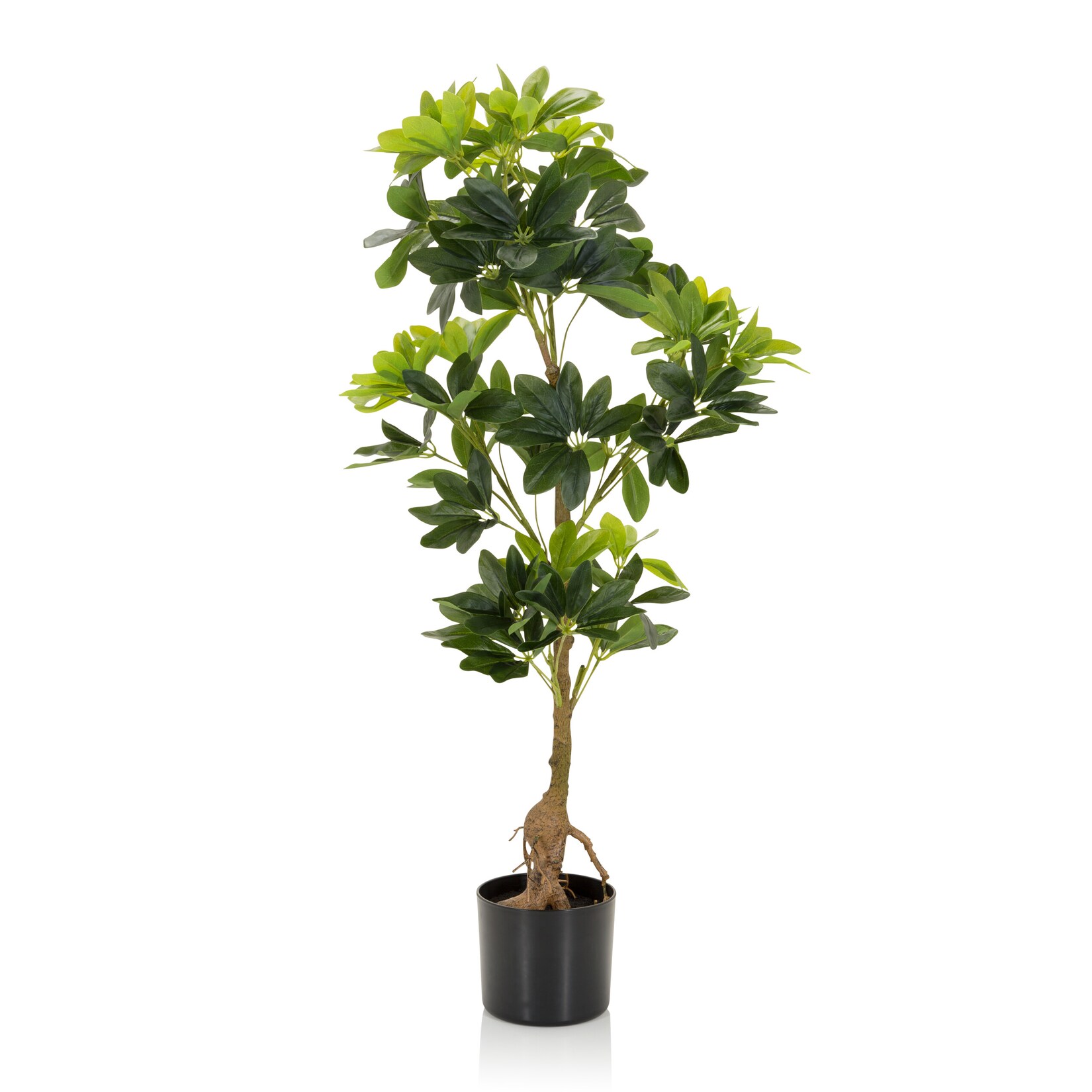hjh OFFICE Kunstpflanze SCHEFFLERA Kunststoff, Stoff