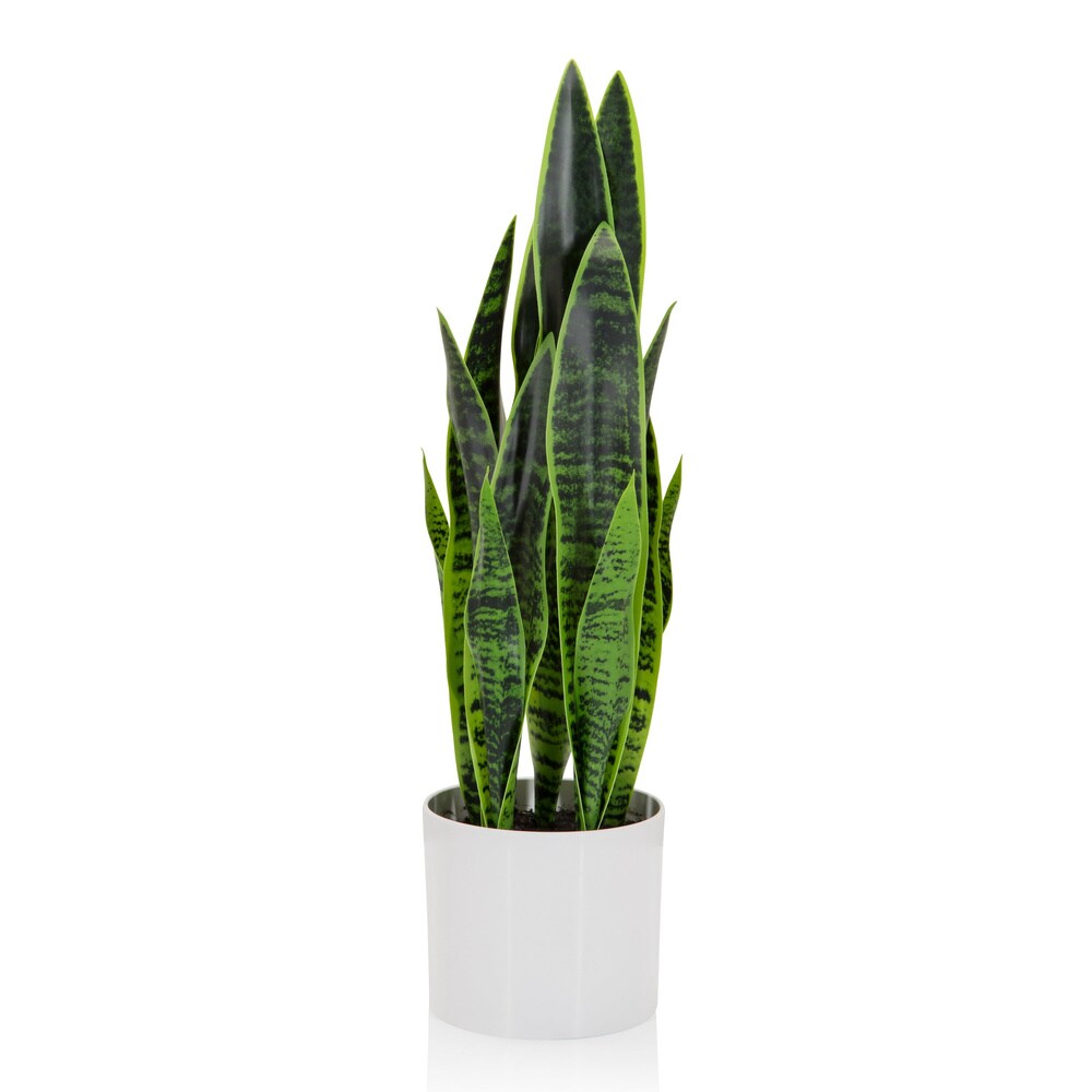 hjh OFFICE Kunstpflanze SANSEVIERIA Kunststoff, Stoff - Bild 1