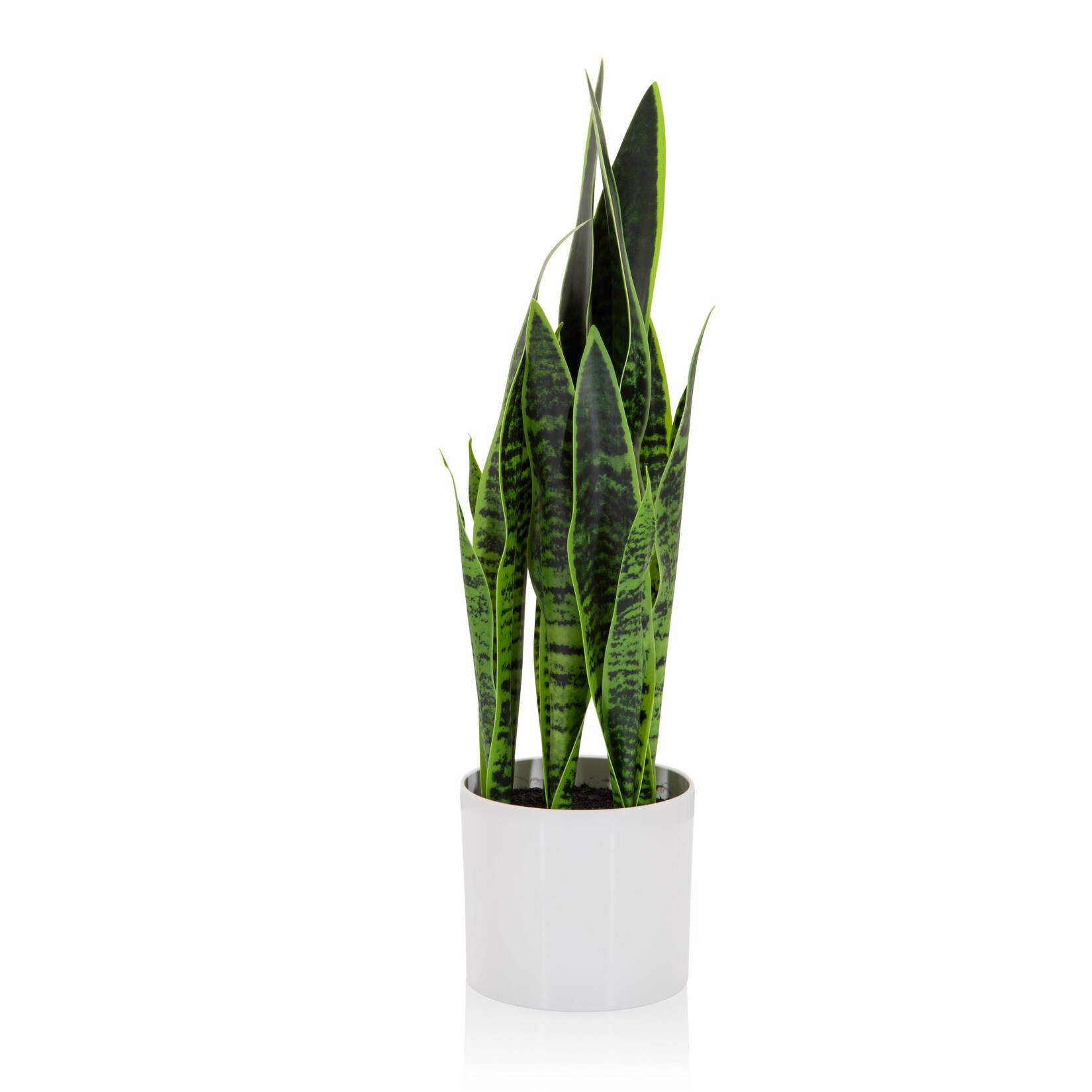 hjh OFFICE Kunstpflanze SANSEVIERIA Kunststoff, Stoff