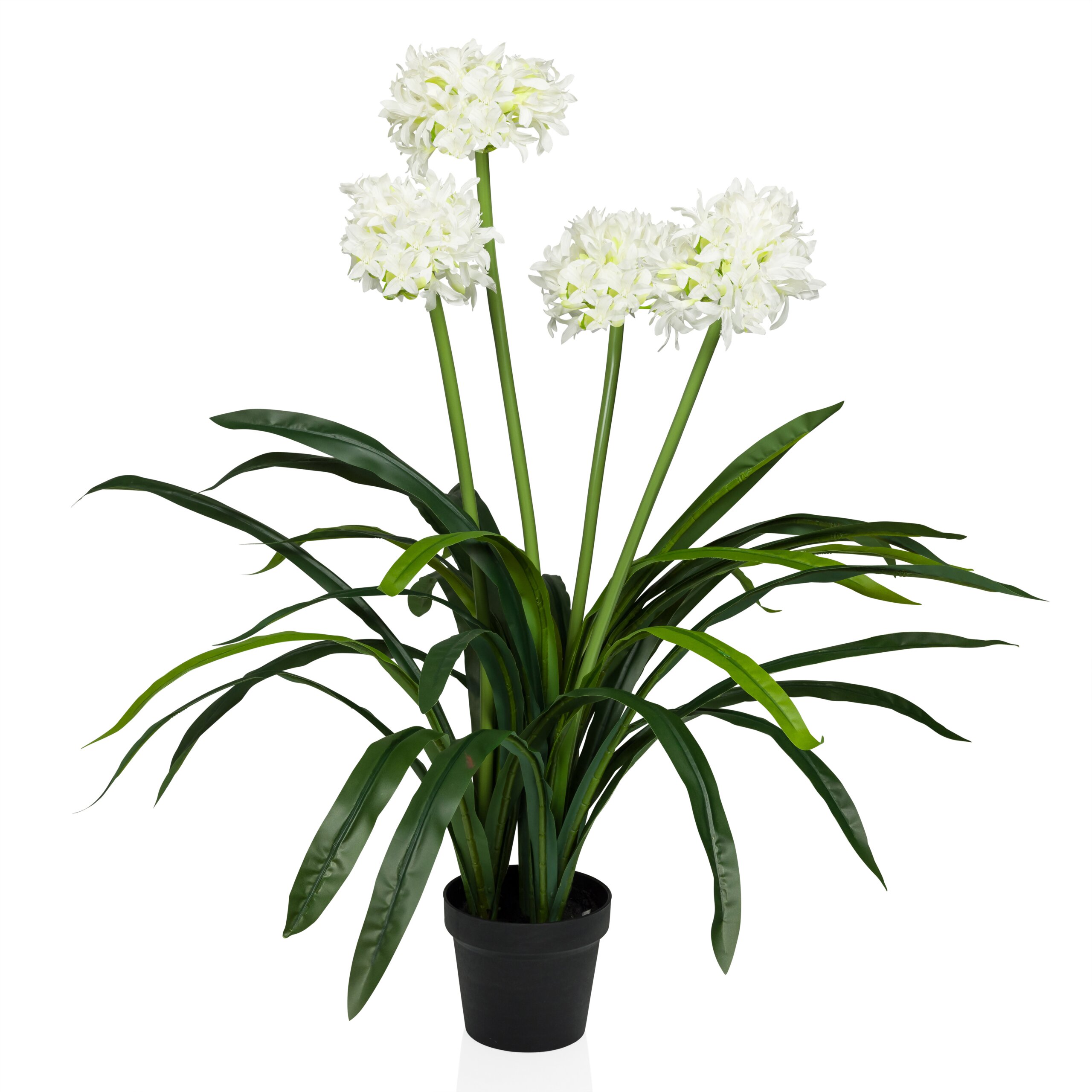 hjh OFFICE Kunstpflanze AGAPANTHUS Kunststoff - Bild 1