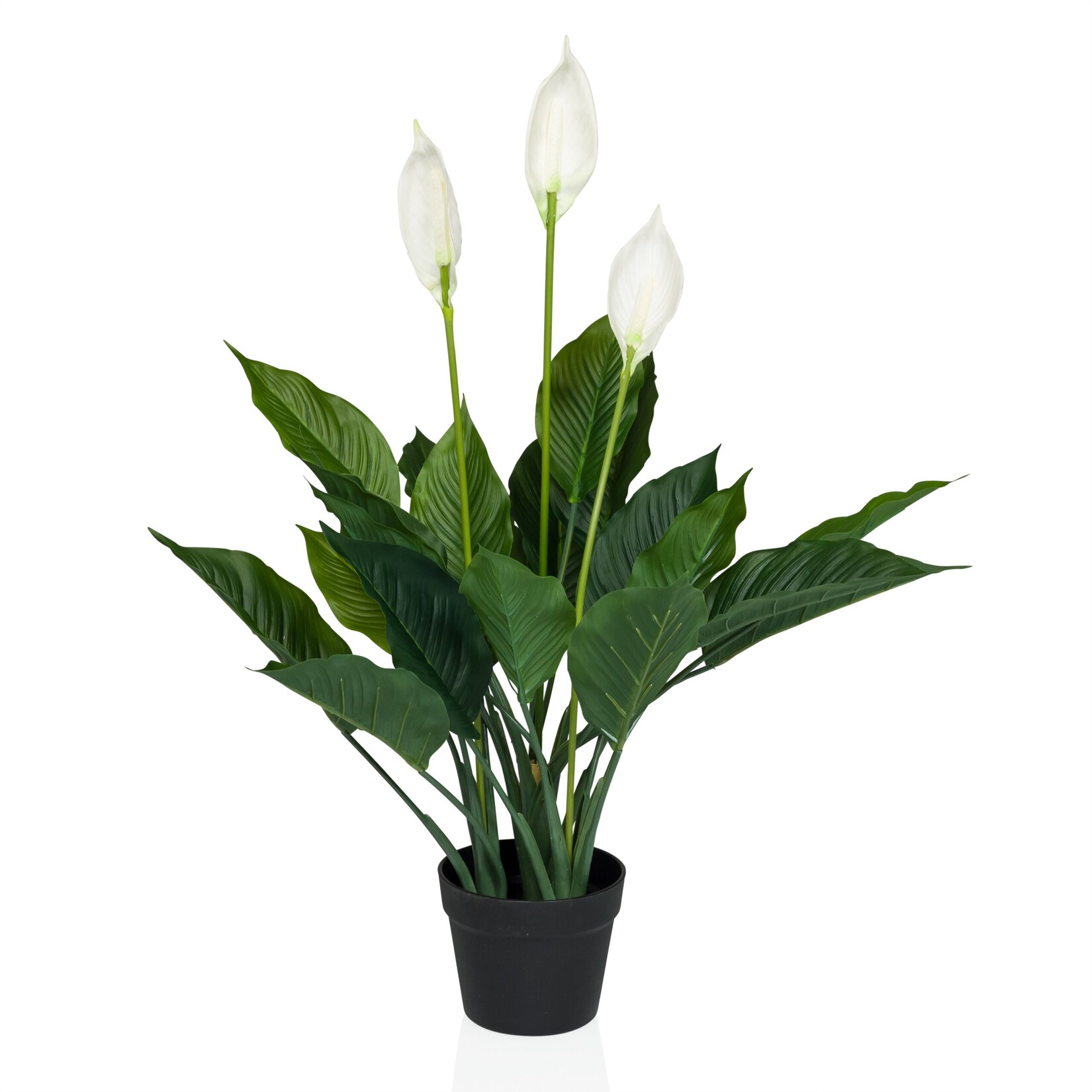 hjh OFFICE Kunstpflanze SPATHIPHYLLUM Kunststoff