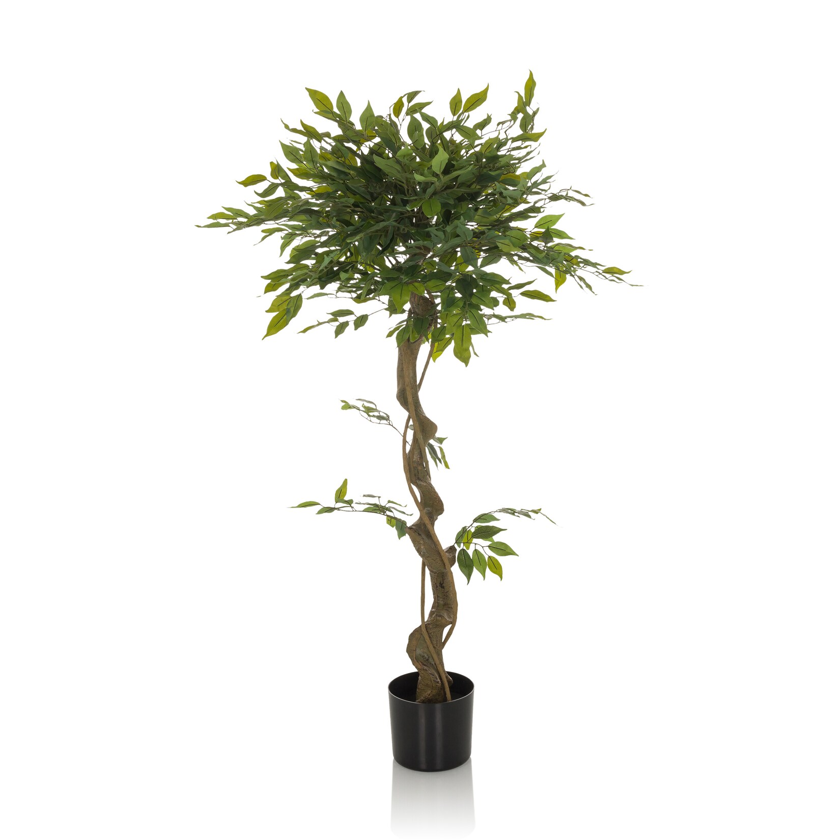 hjh OFFICE Kunstpflanze FICUS I Kunststoff, Stoff