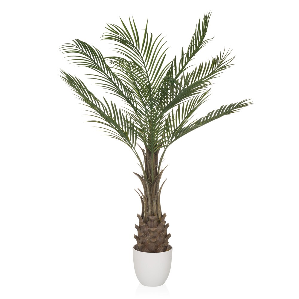 hjh OFFICE Kunstpflanze DRACAENA Kunststoff | 04064323038498