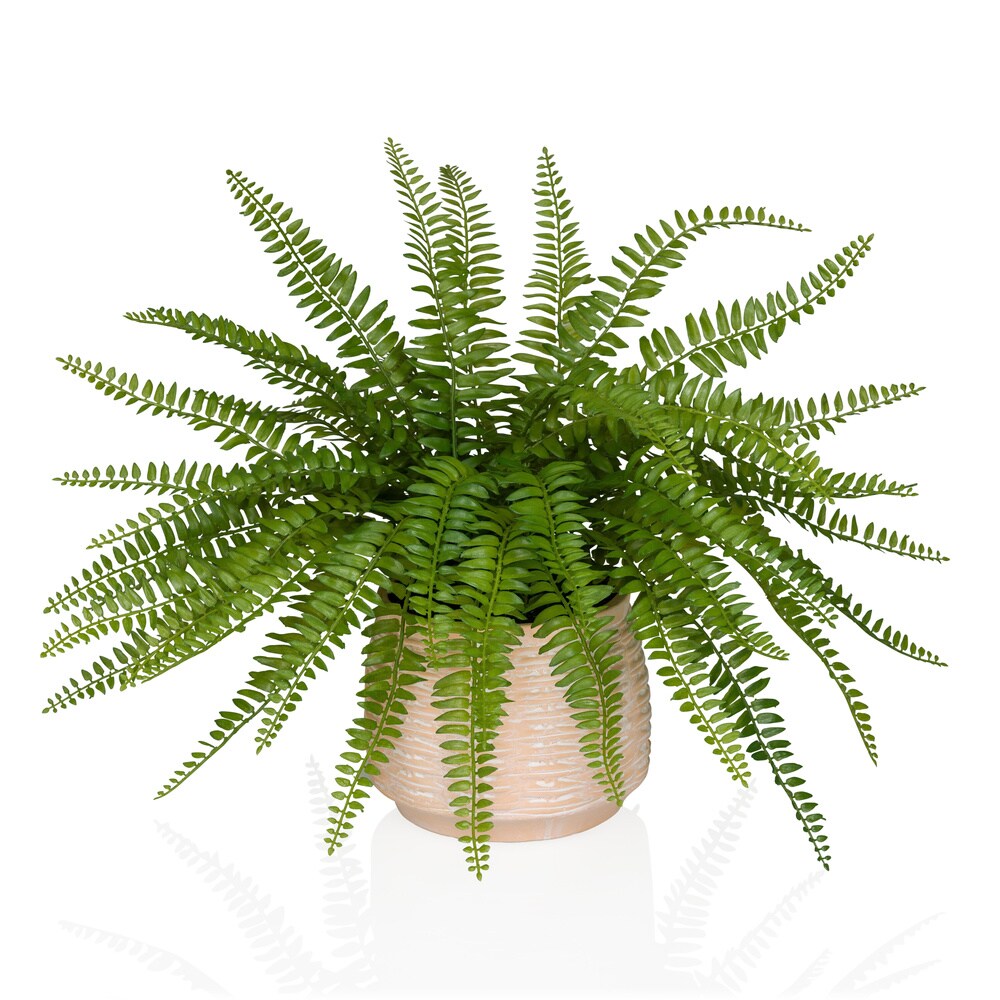 hjh OFFICE Kunstpflanze Proliferum Kunststoff