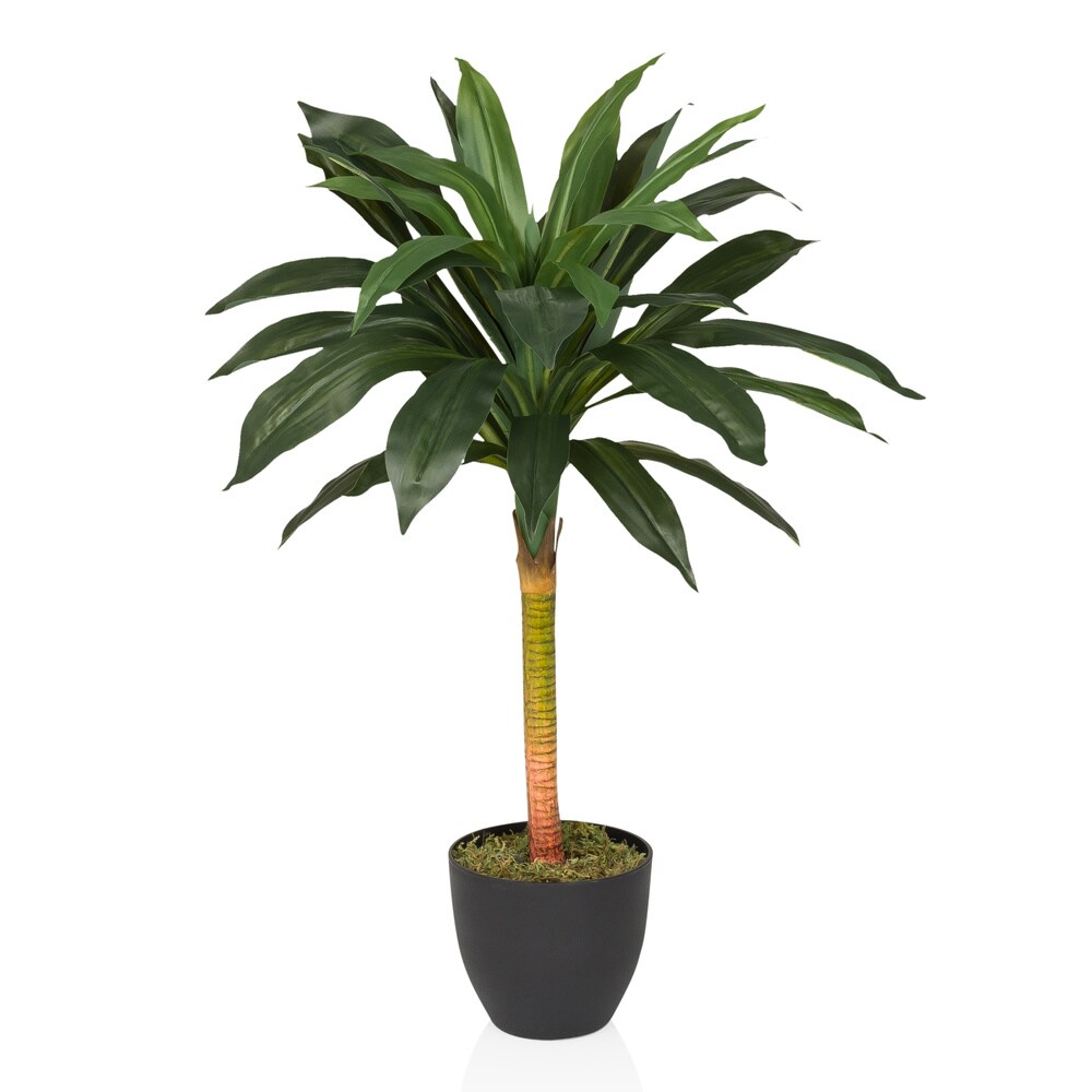 hjh OFFICE Kunstpflanze DRACAENA I Kunststoff | 04064323045779
