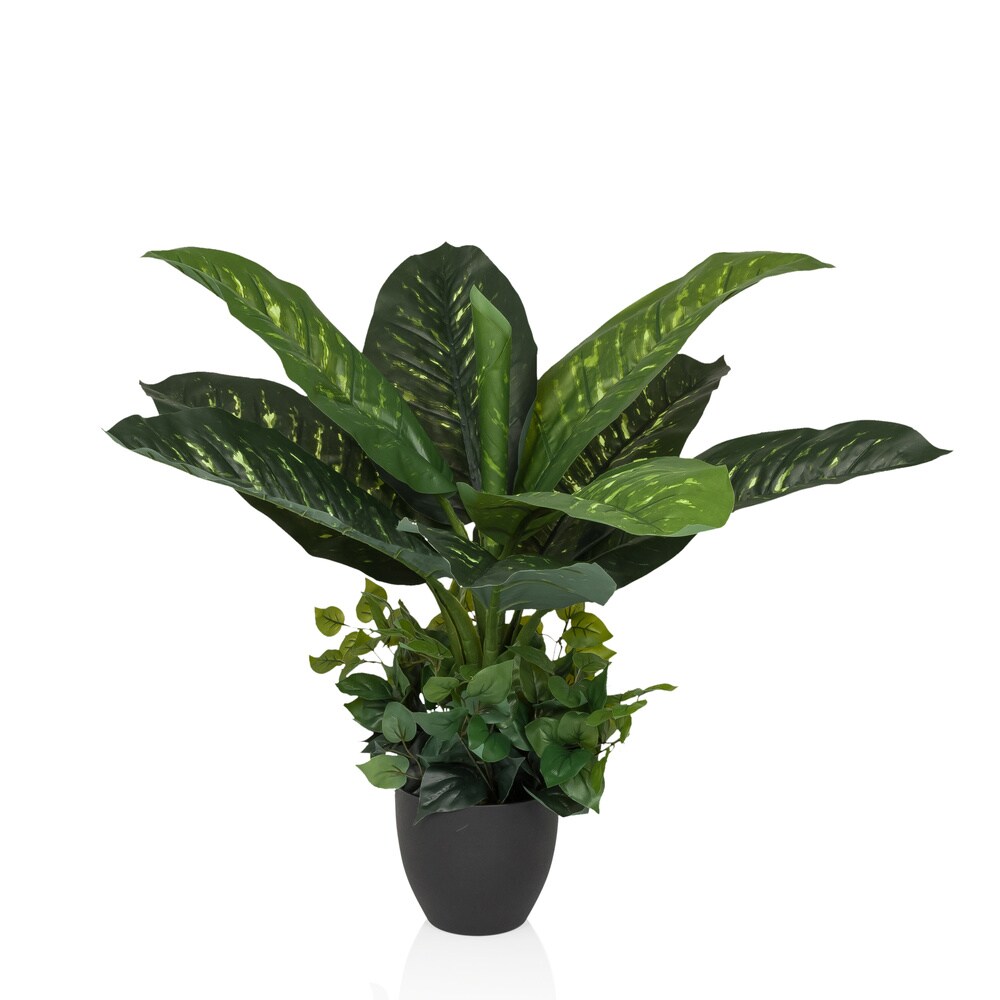hjh OFFICE Kunstpflanze DIEFFENBACHIA Kunststoff