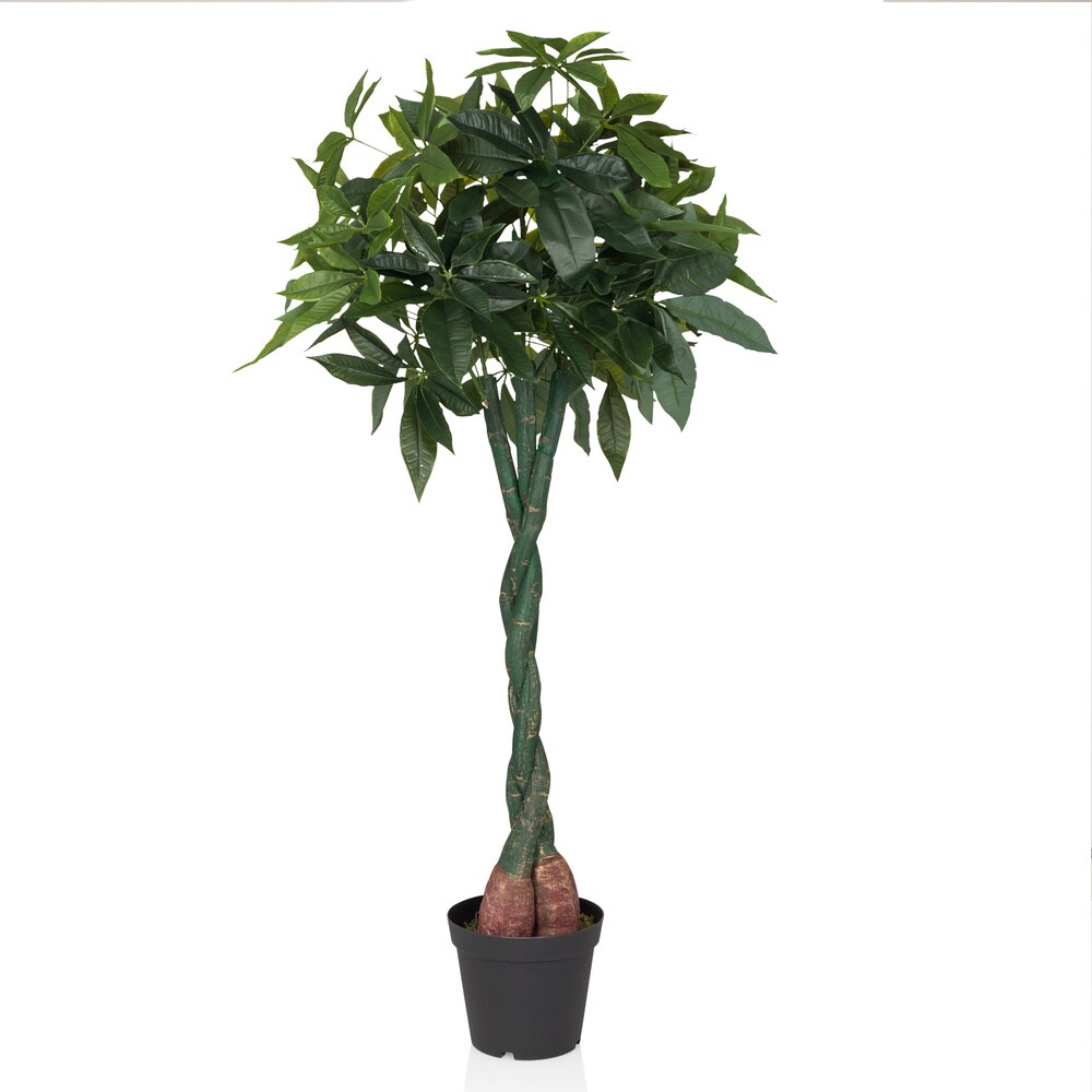hjh OFFICE Kunstpflanze PACHIRA Kunststoff - Bild 1