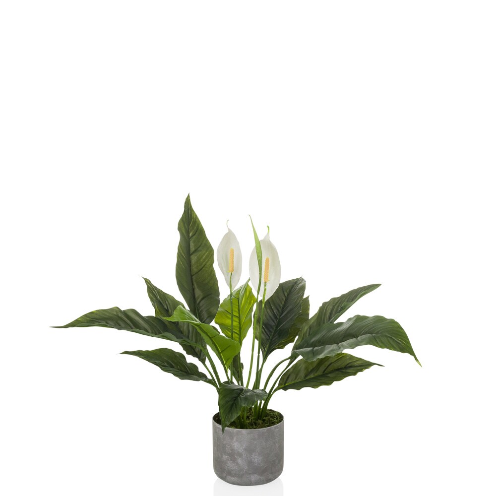 hjh OFFICE Kunstpflanze Spathiphyllum 1 Kunststoff | 04064323108580