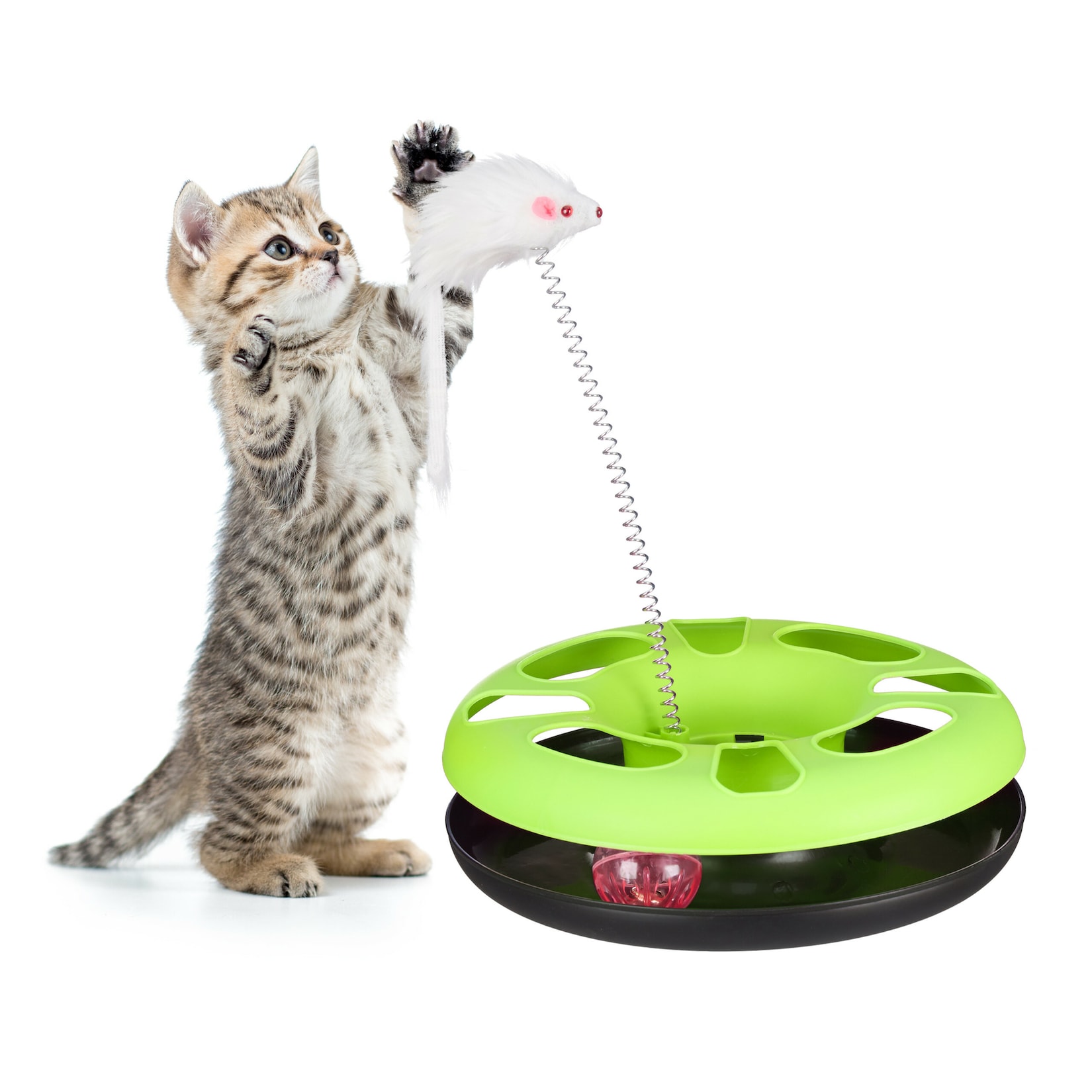 relaxdays Katzenspielzeug mit Maus