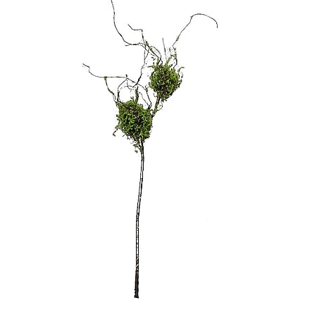 HTI-Living Zweig mit Vogelnestern Kunstpflanze Flora - Bild 1
