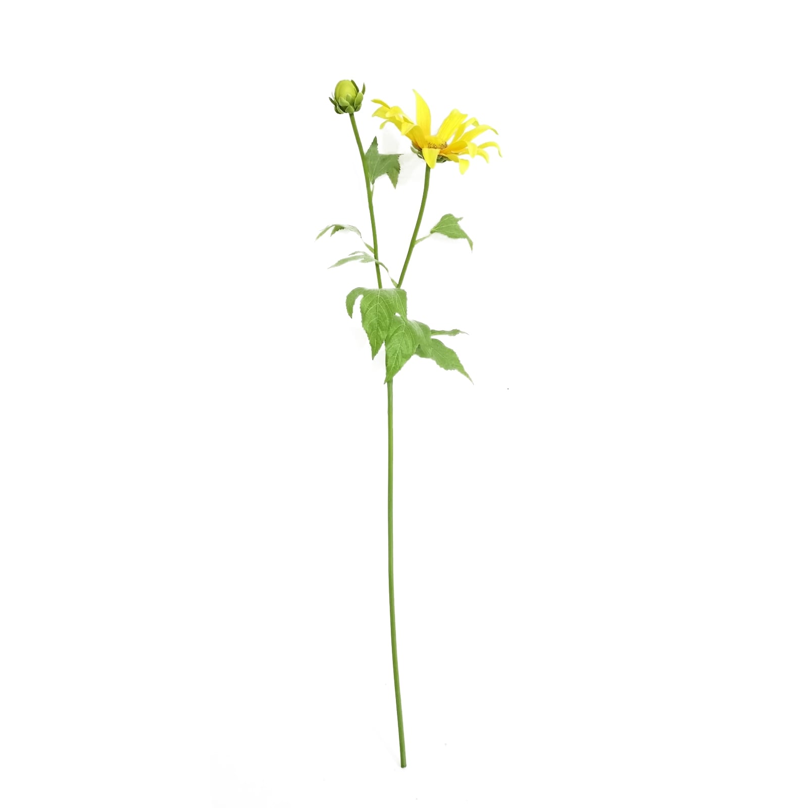 HTI-Living Fr&uuml;hlingsblume 74 cm Kunstblume Flora - Bild 1