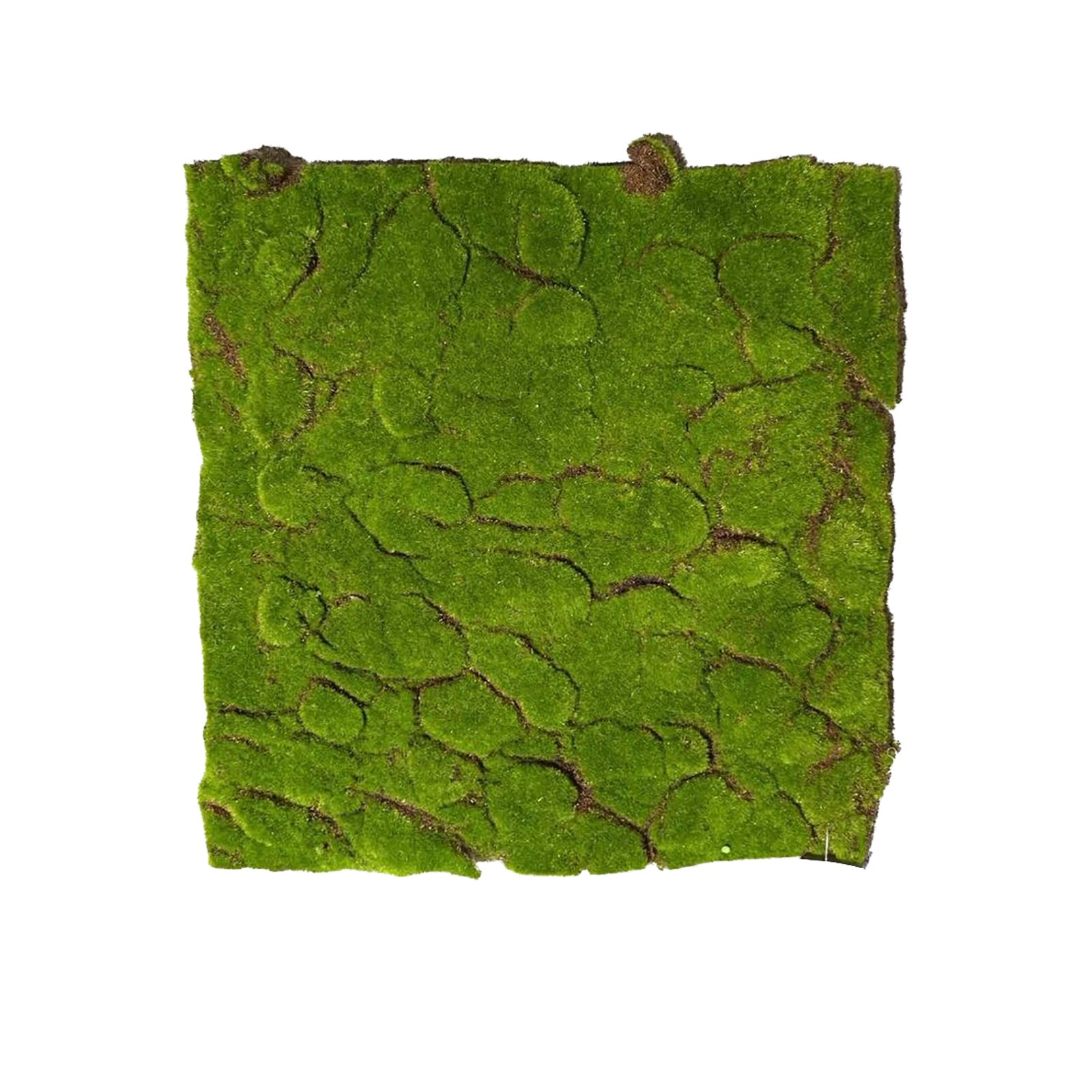 HTI-Living Moosteppich 50 x 50 cm Kunstpflanze Flora online kaufen bei Netto