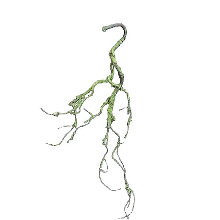 HTI-Living Moos Girlande Hellgrün 70 cm Kunstpflanze Flora - Bild 1