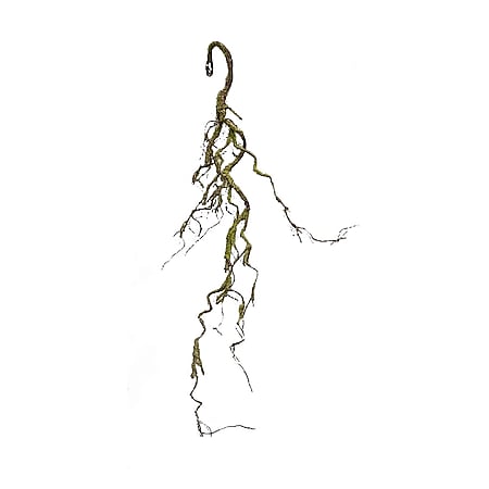 HTI-Living Moos Girlande Hellgrün 91 cm Kunstpflanze Flora - Bild 1