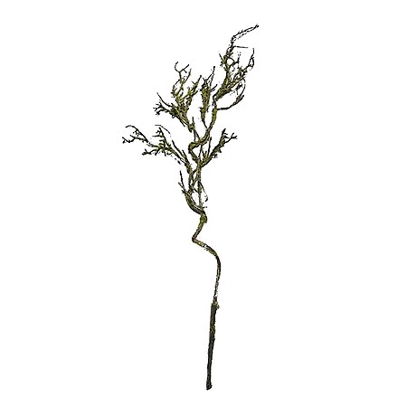 HTI-Living Moos Zweig Hellgrün 106 cm Kunstpflanze Flora - Bild 1
