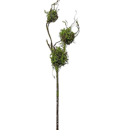 HTI-Living Zweig mit Vogelnestern Kunstpflanze Flora - Bild 1