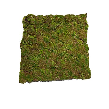 HTI-Living Moosmatte Braun-Grün 50 x 50 cm Kunstpflanze Flora - Bild 1