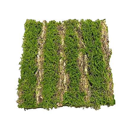 HTI-Living Moosmatte Furche 50 x 50 cm Kunstpflanze Flora - Bild 1