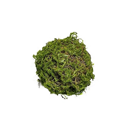 HTI-Living Mooskugel 18 cm Kunstpflanze Flora - Bild 1