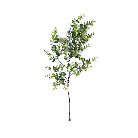 HTI-Living Eukalyptusstengel 50 cm Kunstpflanze Flora - Bild 1