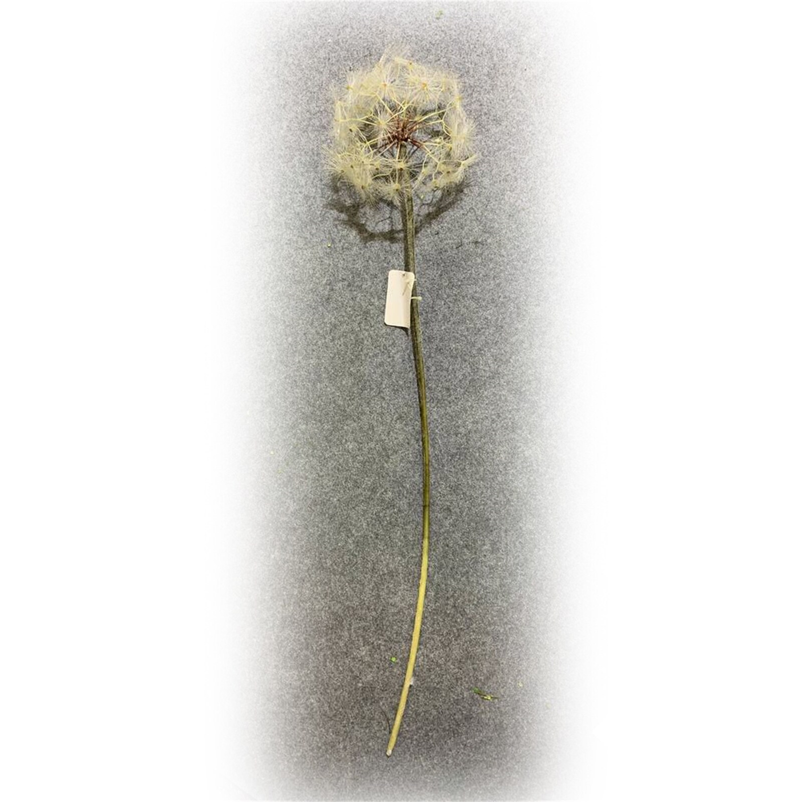 knstliche kirschbltenbume Knstliche Kirschblten