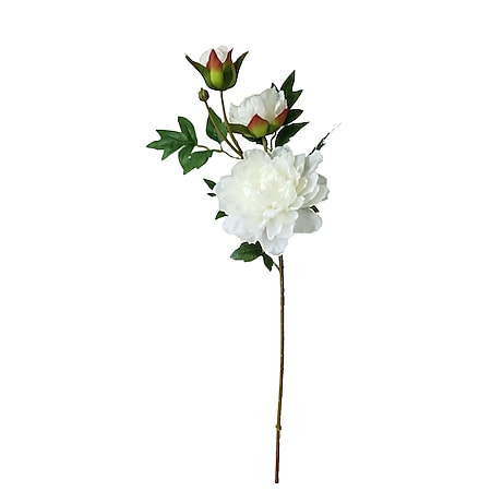 HTI-Living Pfingstrose Weiß 74 cm Kunstblume Flora - Bild 1