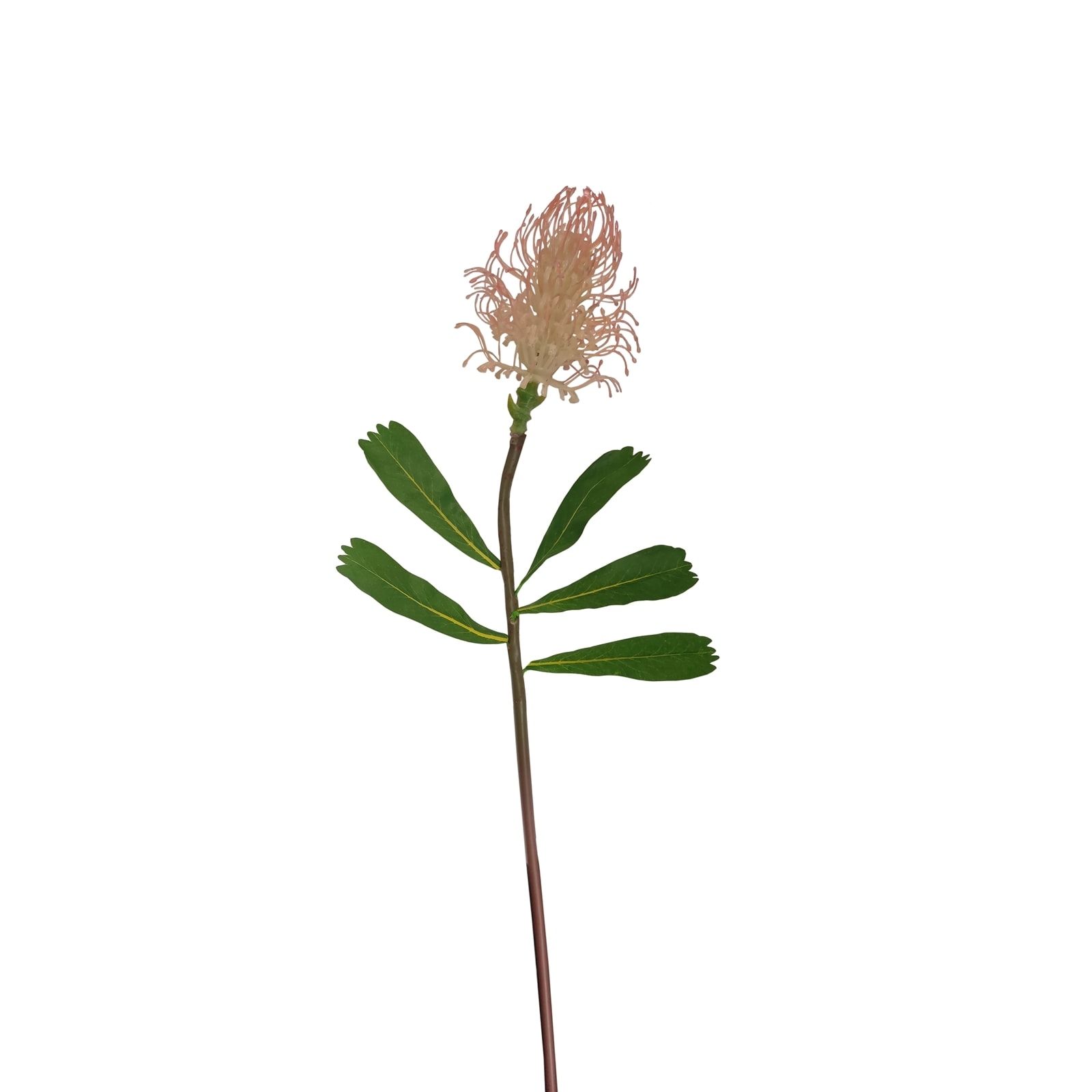 HTI-Living Fr&uuml;hlingsblume wei&szlig;e Bl&uuml;te Kunstpflanze Flora - Bild 1