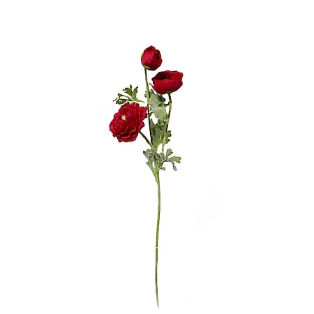 HTI-Living Ranunkel 64 cm Kunstblume Flora - Bild 1