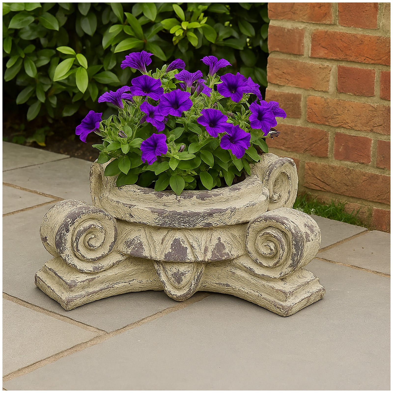 HTI-Living Pflanzgef&auml;&szlig; Apollon Blumenk&uuml;bel Volute - Bild 1