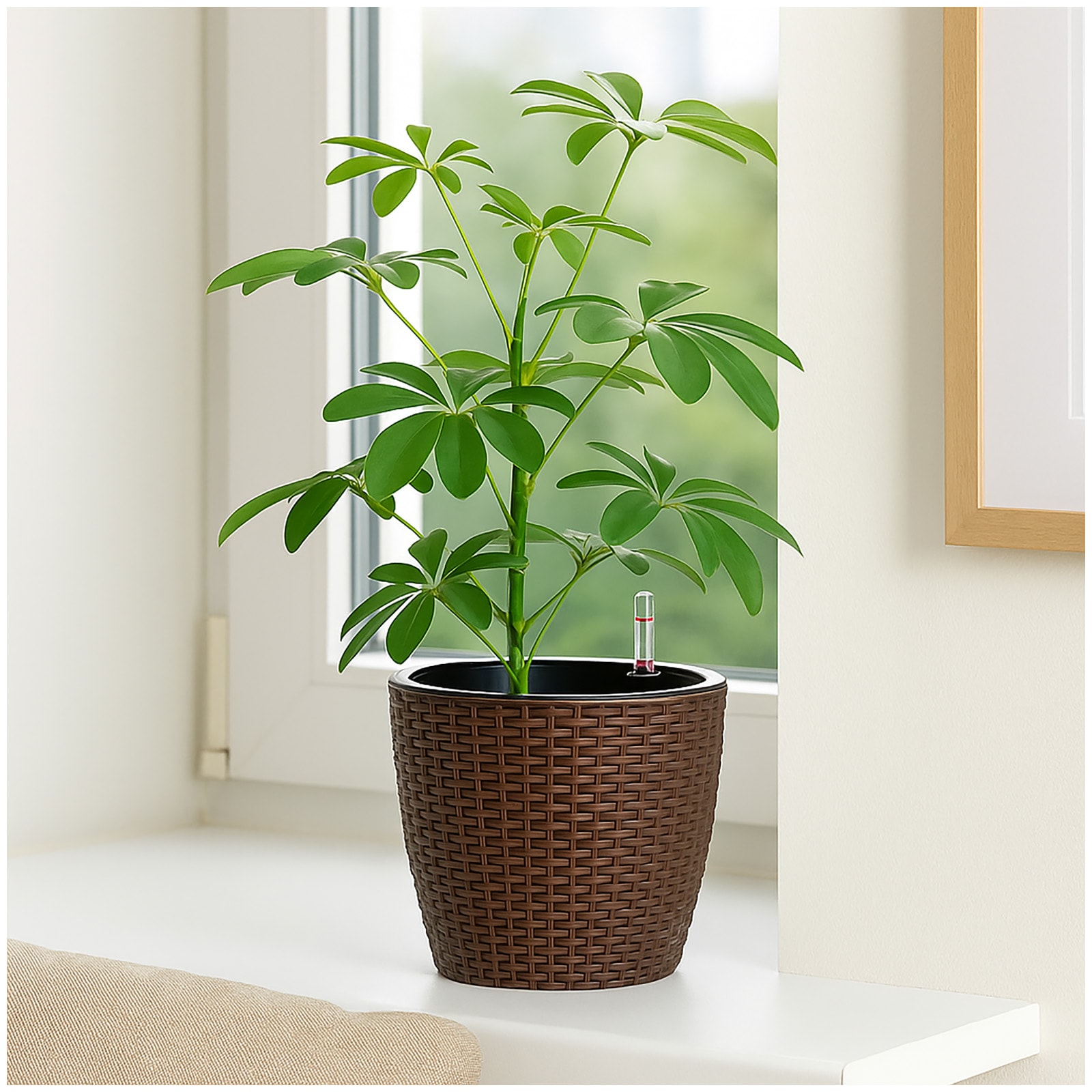 HTI-Living Blumentopf Nessa Hydro 21,5 cm Braun - Bild 1