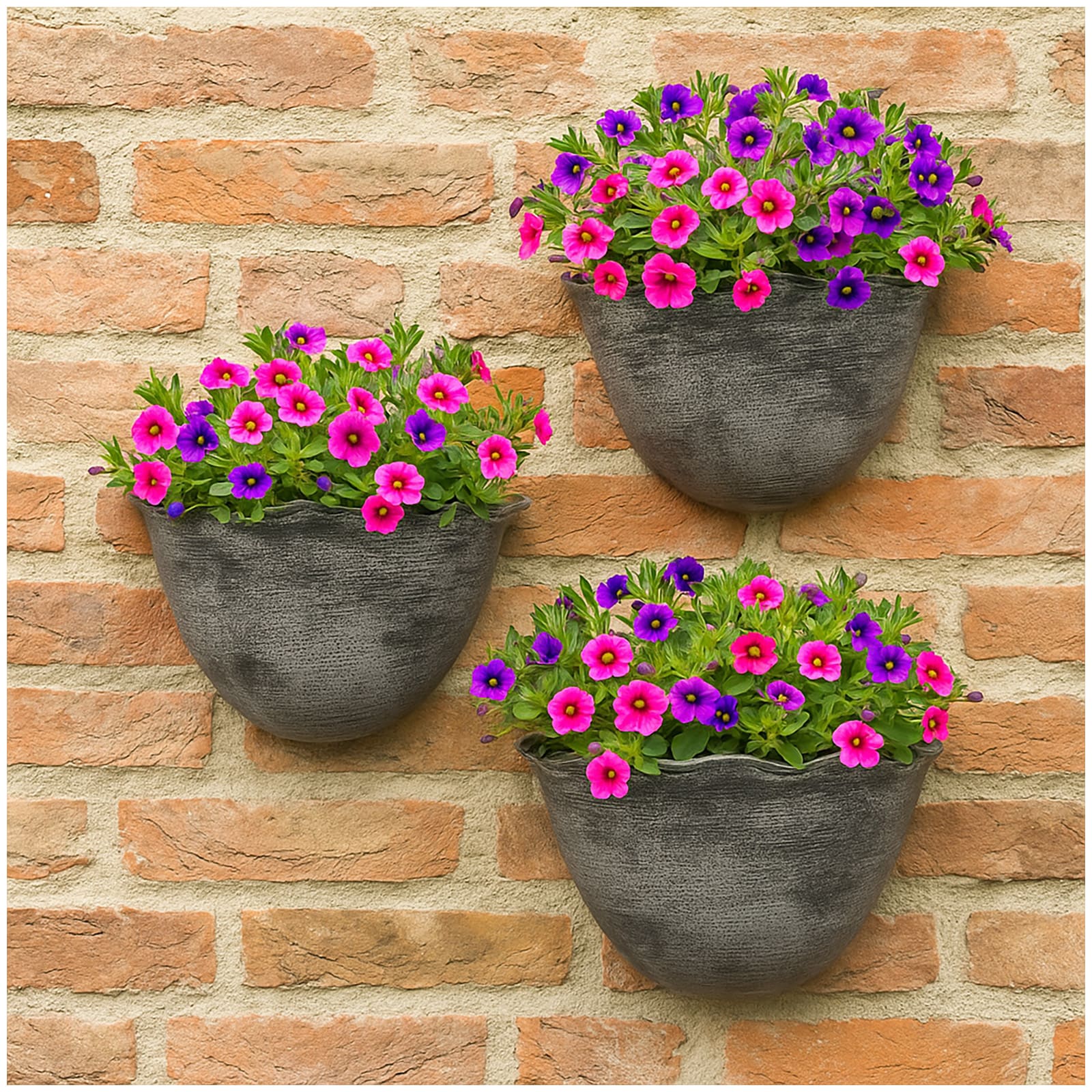 HTI-Living Pflanzschale Nessa Muschel Wandmontage - Bild 1