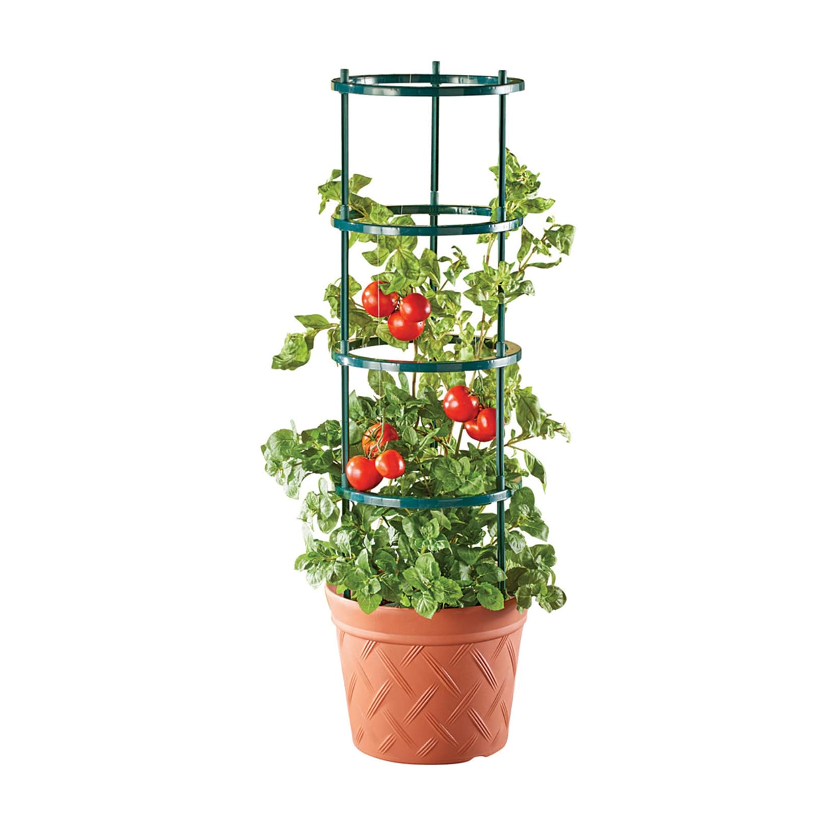 HTI-Living Pflanztopf Nessa Terracotta mit Rankhilfe - Bild 1