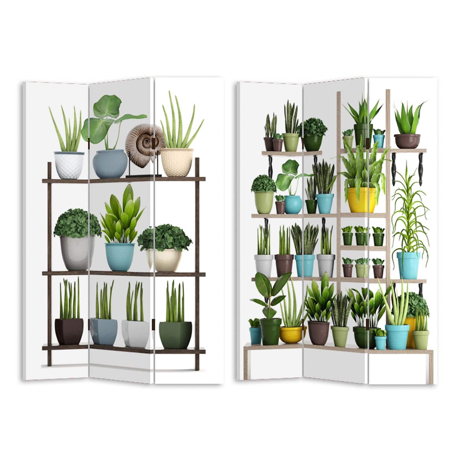 HTI-Line Paravent Gummibaum - Bild 1